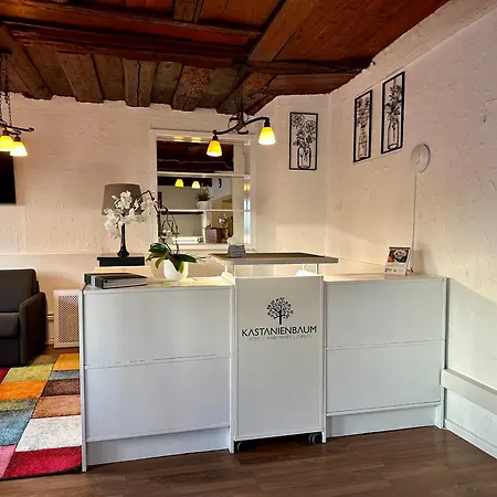Bed & Breakfast Kastanienbaum 3*