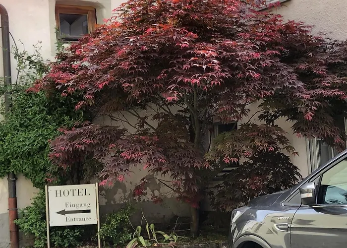Kastanienbaum 3* Herzogenaurach