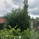Kastanienbaum Frühstückspension 3*