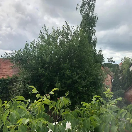 Kastanienbaum Bed & Breakfast 3*